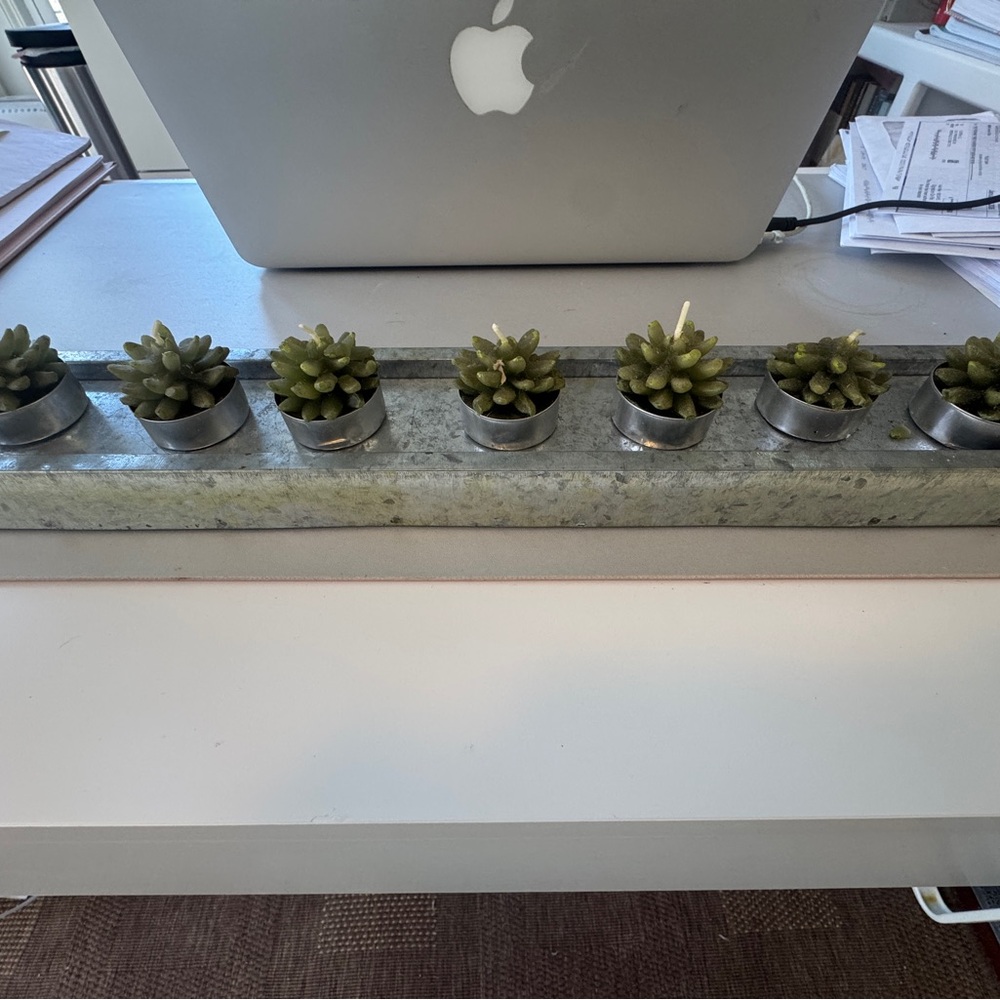 Set of 7 🌵Succulent-Shaped Tealight Candles on Metal Display Tray